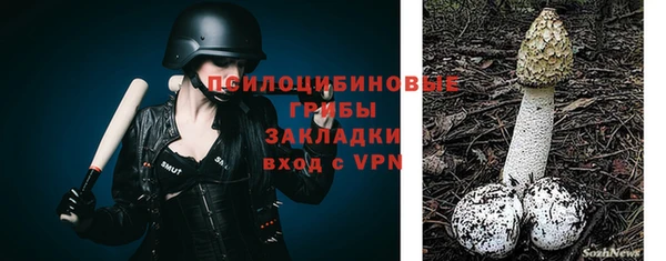 первитин Алексеевка