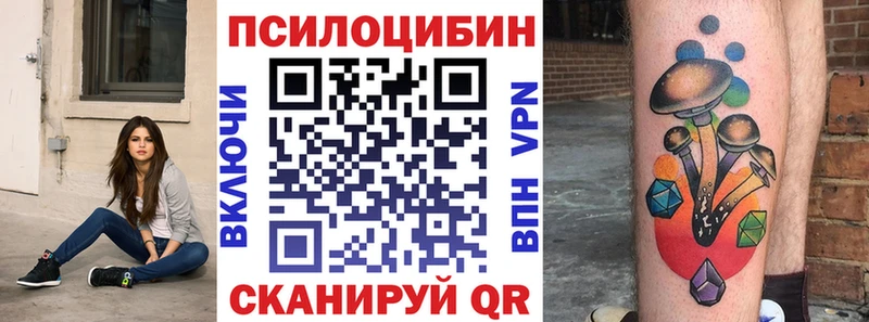 ОМГ ОМГ онион  Казань  Псилоцибиновые грибы мицелий  дарнет шоп 