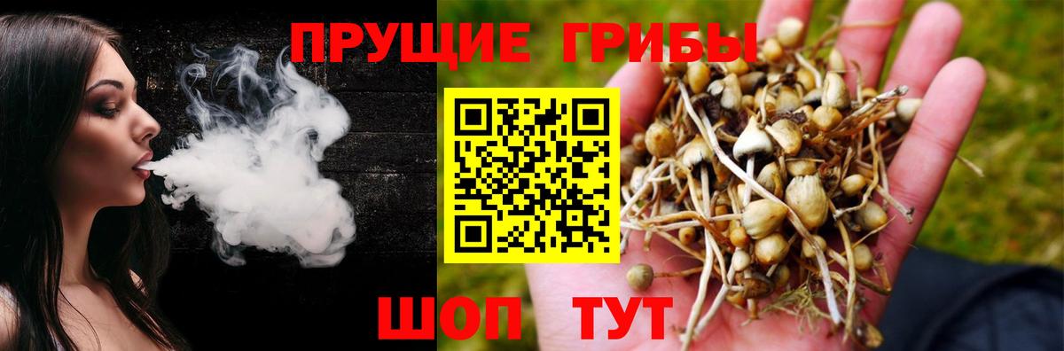 Казань  Псилоцибиновые грибы ЛСД  купить закладку  Вход с VPN 